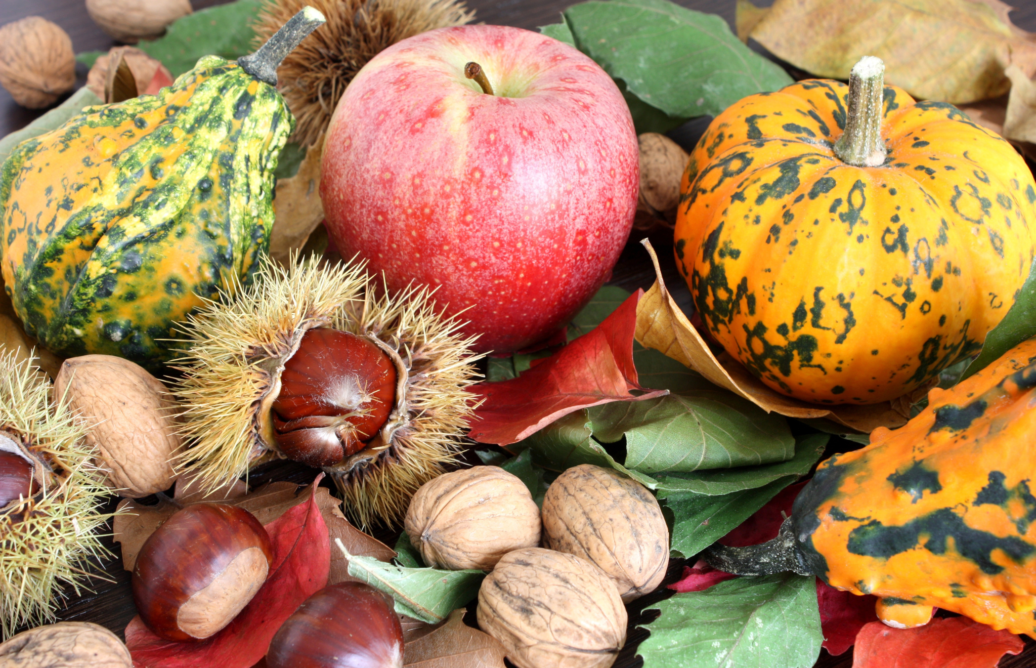Der Oktober ist ein großartiger Monat für die Ernte einer Vielzahl von Feldfrüchten
